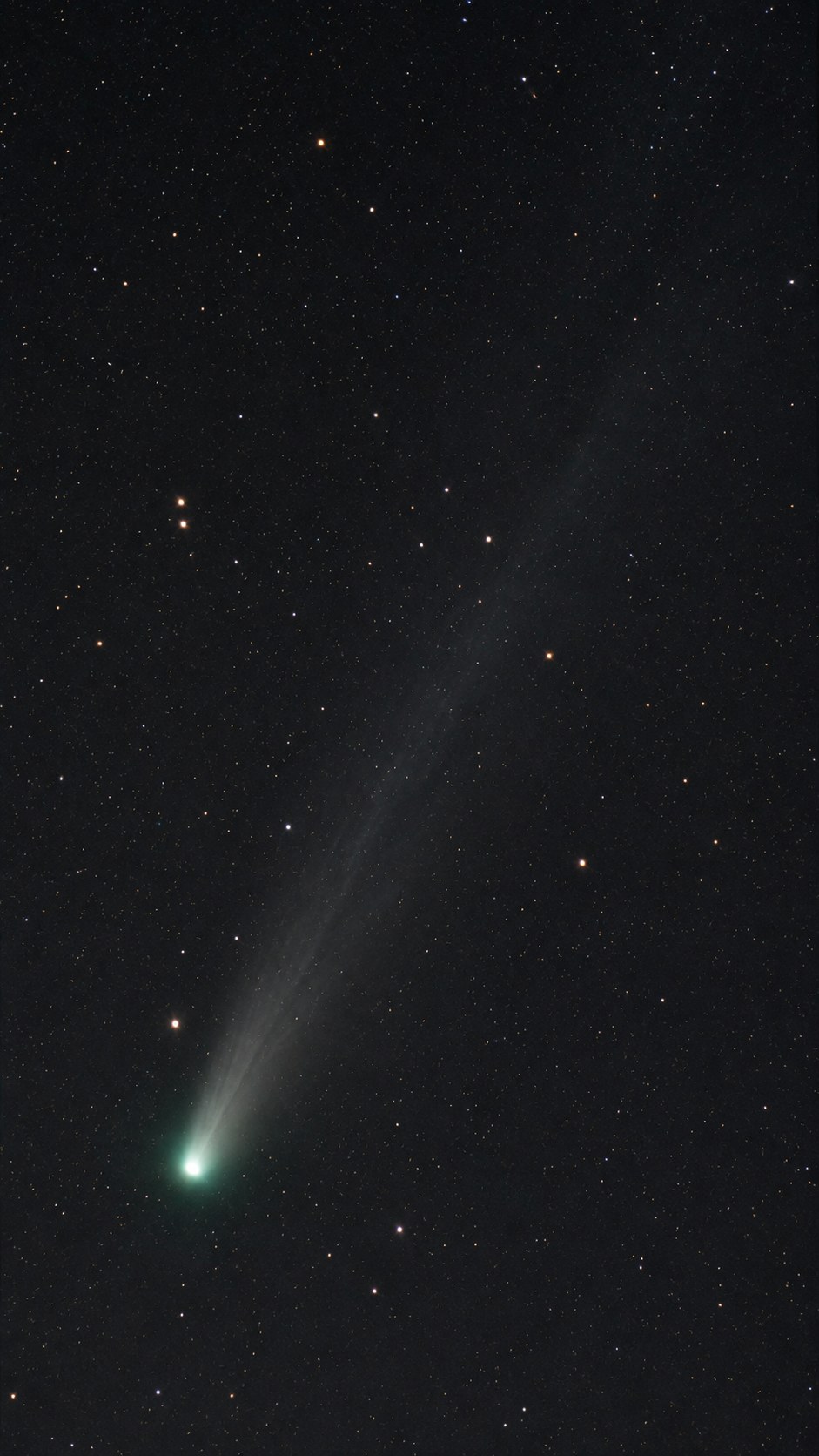 Comet Lemmon with its long ion tail against a starry background