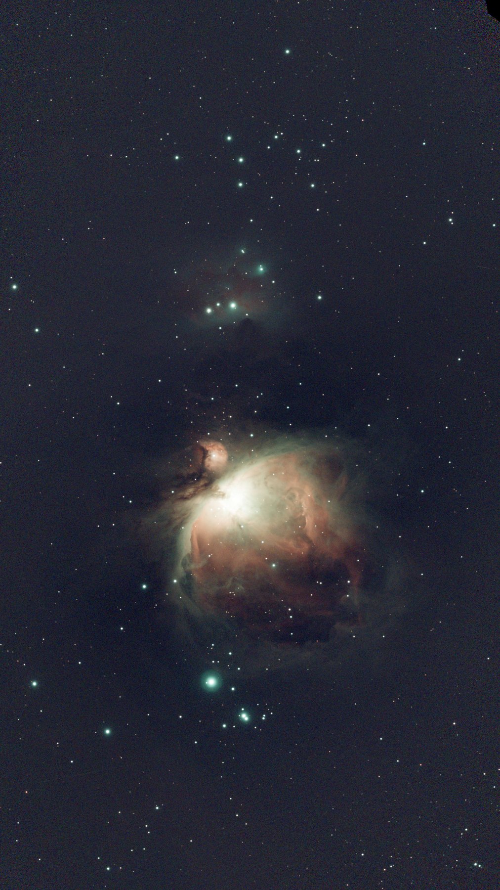 The Orion Nebula (M42) with the Trapezium star cluster